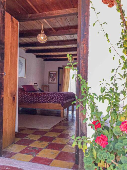 Casa Cerrillo Lägenhet San Cristóbal de Las Casas Exteriör bild