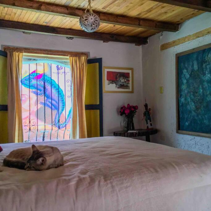 Casa Cerrillo Lägenhet San Cristóbal de Las Casas Exteriör bild